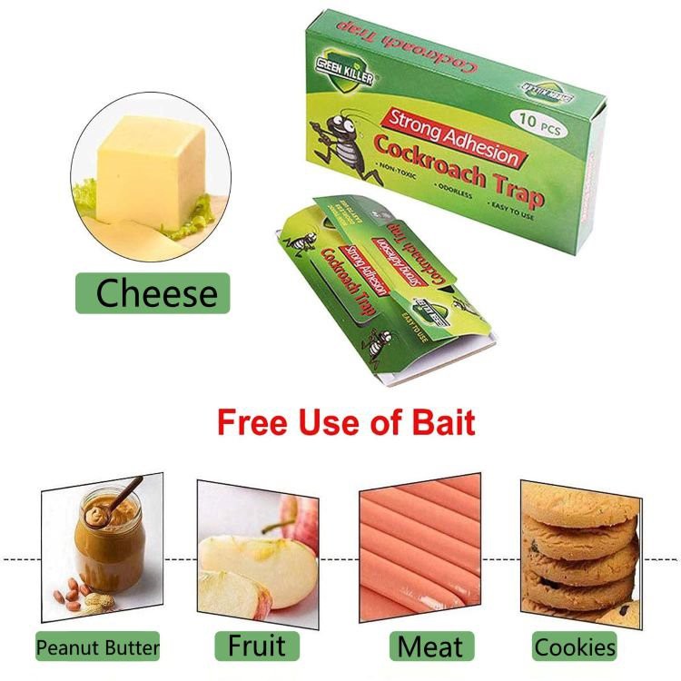 Roaches Glue House trap