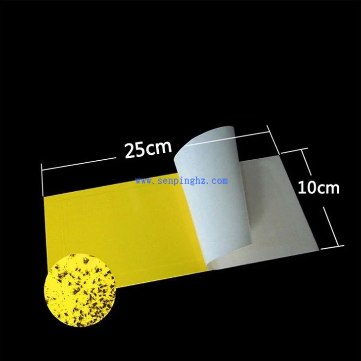 adhesive fly trap paper