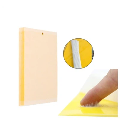 ¿Cuántas trampas adhesivas amarillas necesito para mi invernadero?